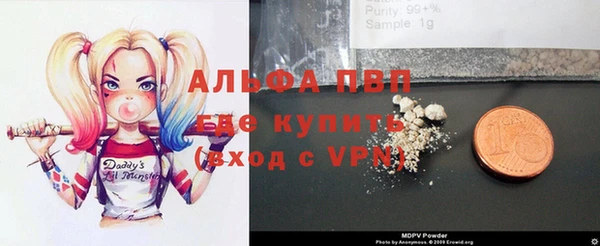стаф Вязники