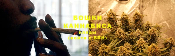 стаф Вязники